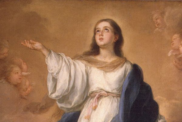 immacolata