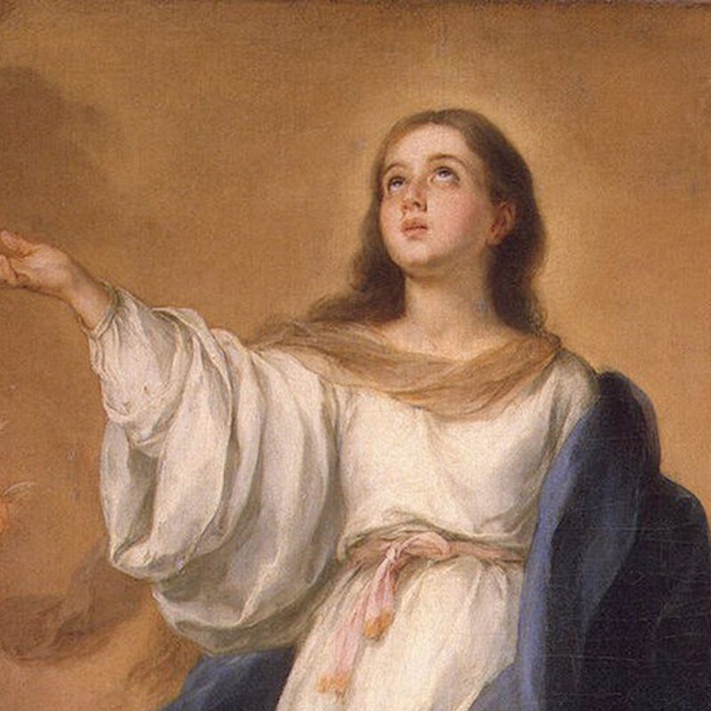 immacolata
